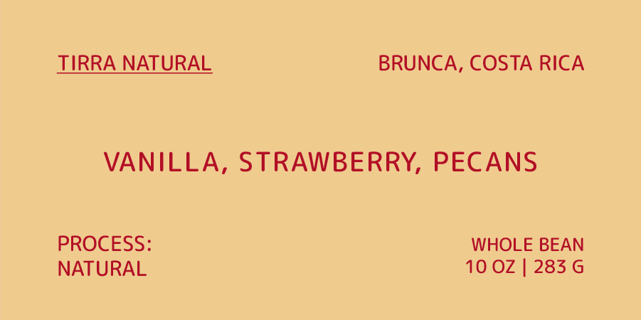 Coffee label with product details on a beige background