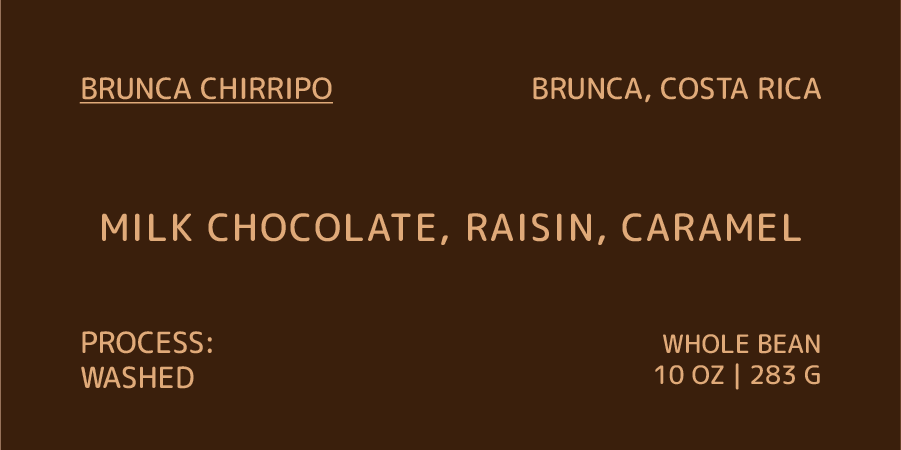 Label for Brunca Chirripo milk chocolate with raisin and caramel flavor on a brown background.