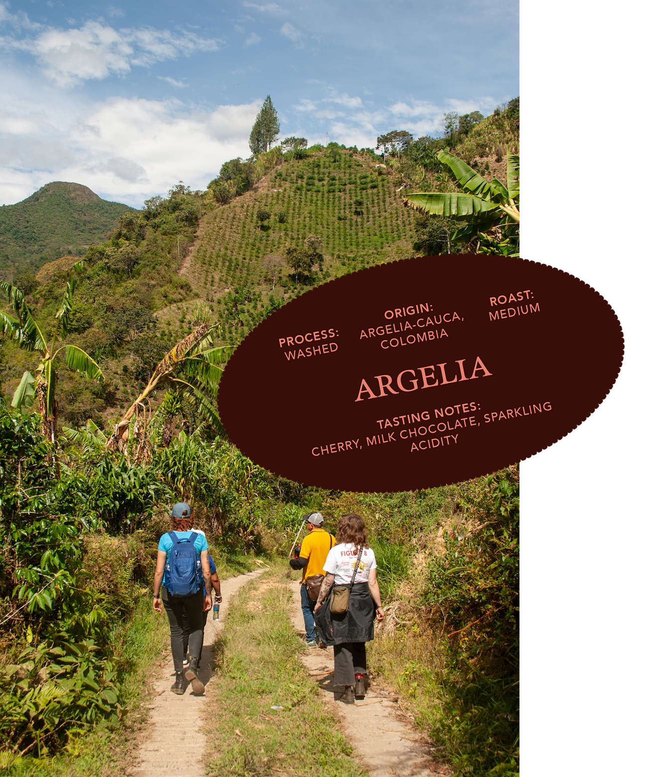 Spotlight Coffee: Argelia, Empowering Women in Coffee