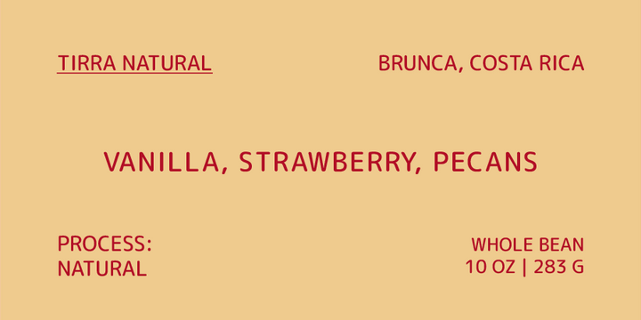 Coffee label with product details on a beige background