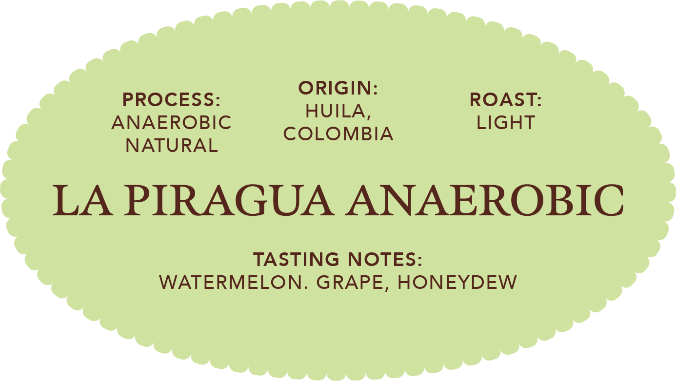 La Piragua Anaerobic | Single Origin Coffee