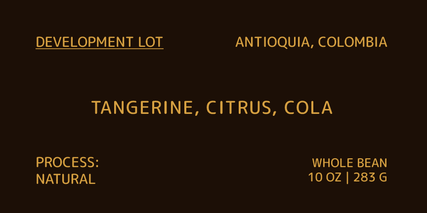 Development Lot | Single Origin Coffee