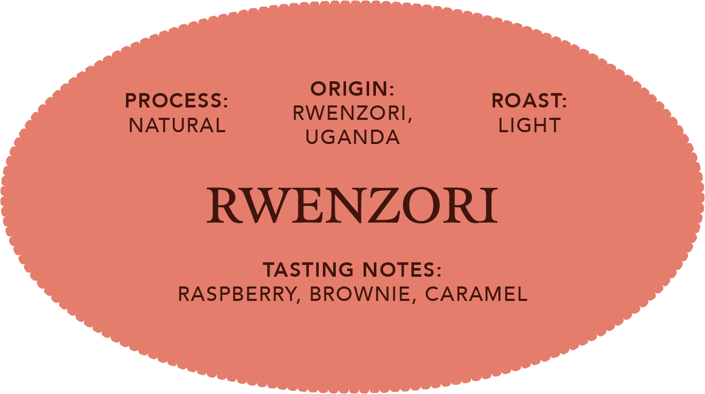 Rwenzori | Single Origin Coffee