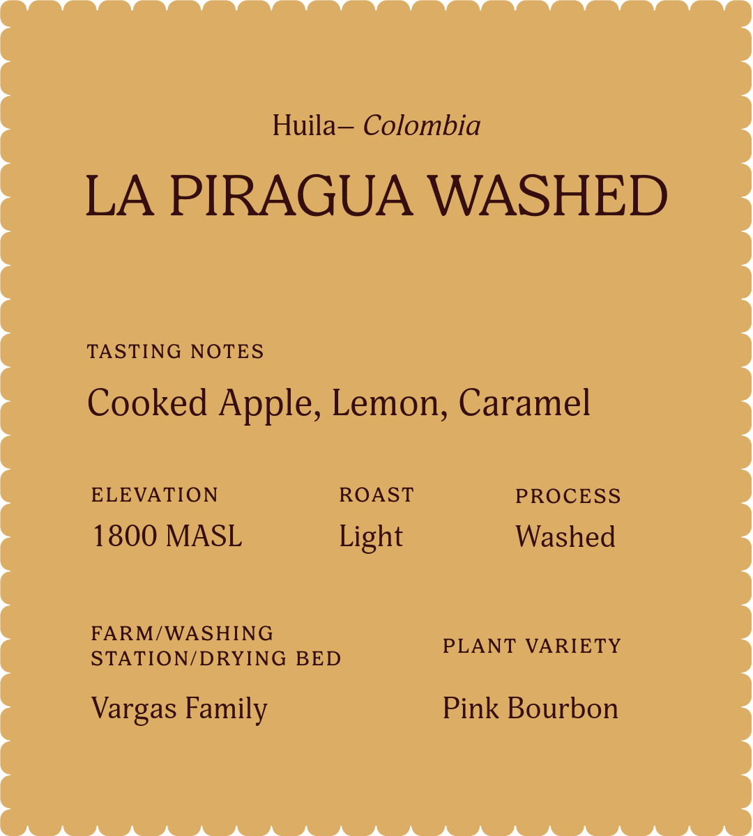 La Piragua Washed | Single Origin Coffee