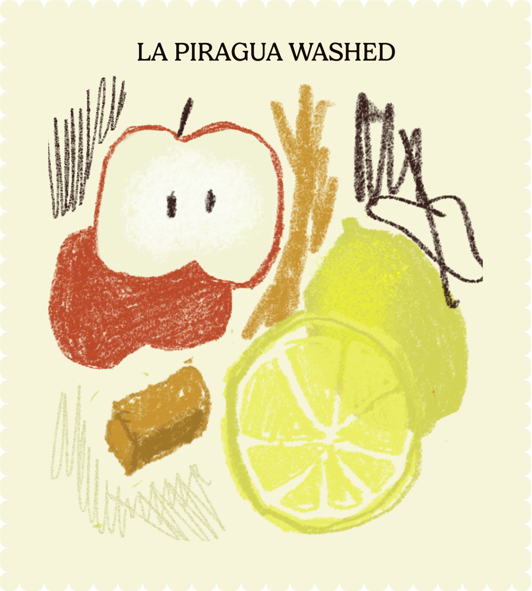 La Piragua Washed | Single Origin Coffee