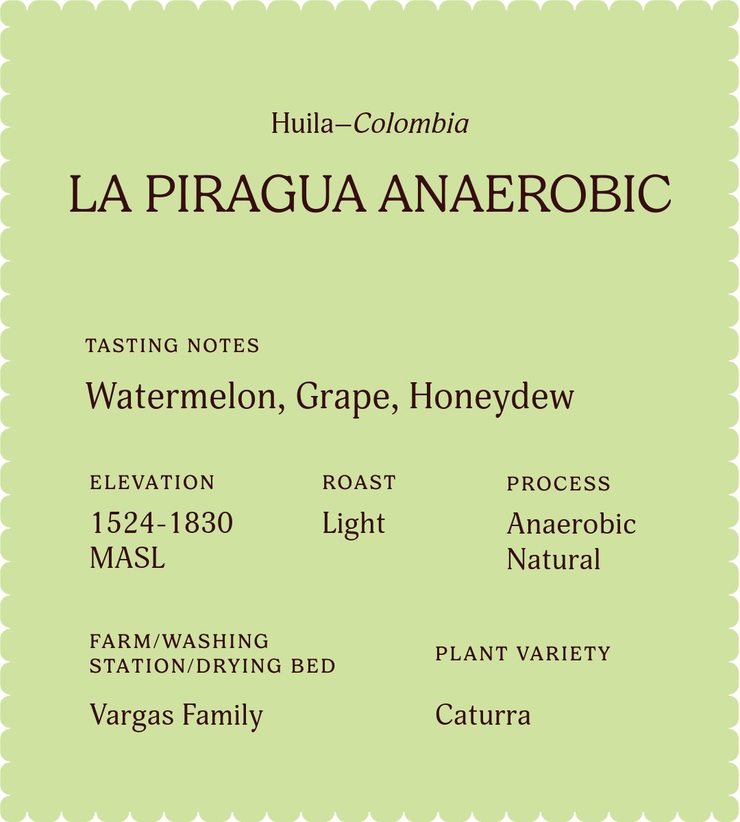 La Piragua Anaerobic | Single Origin Coffee
