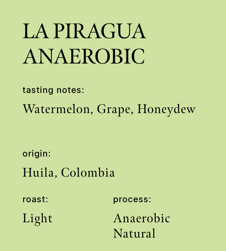 La Piragua Anaerobic | Single Origin Coffee