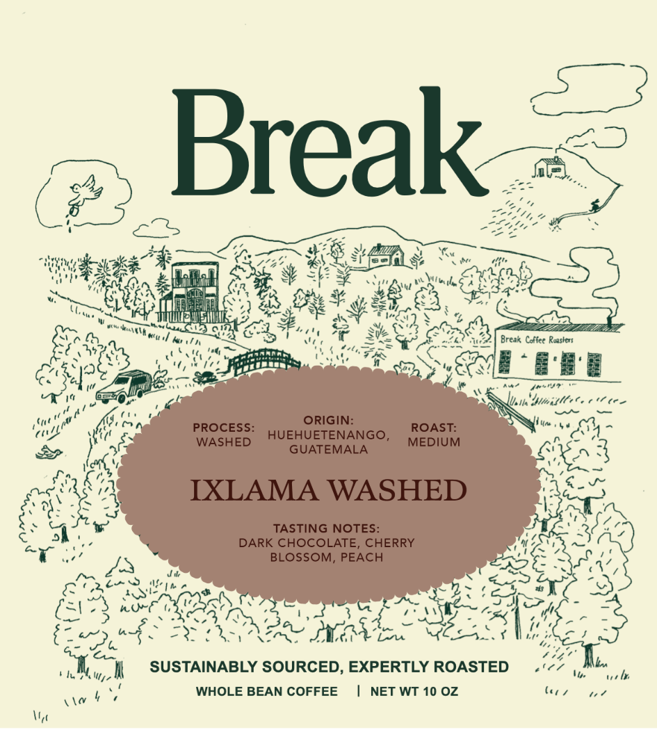 Ixlama Washed | Single Origin Coffee