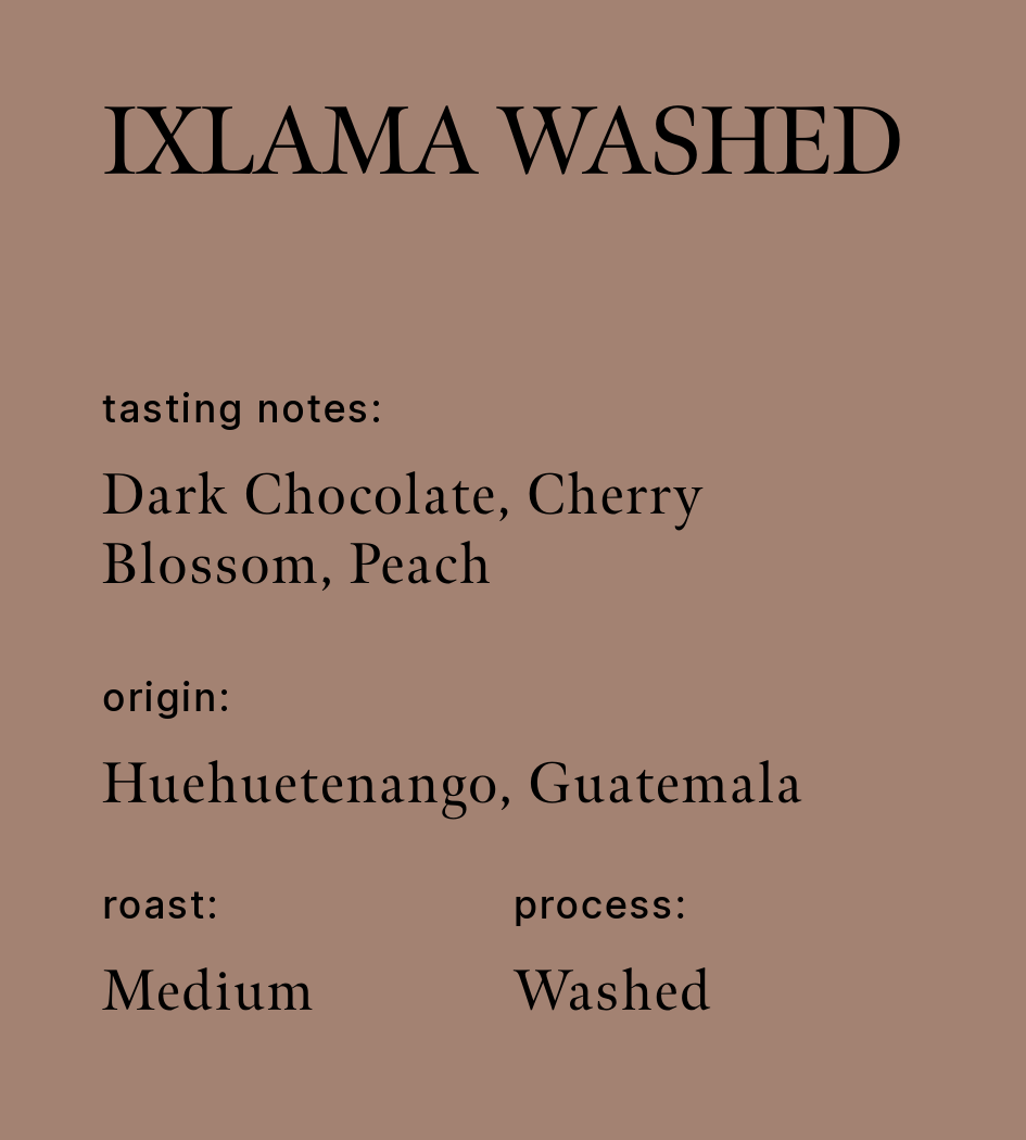 Ixlama Washed | Single Origin Coffee