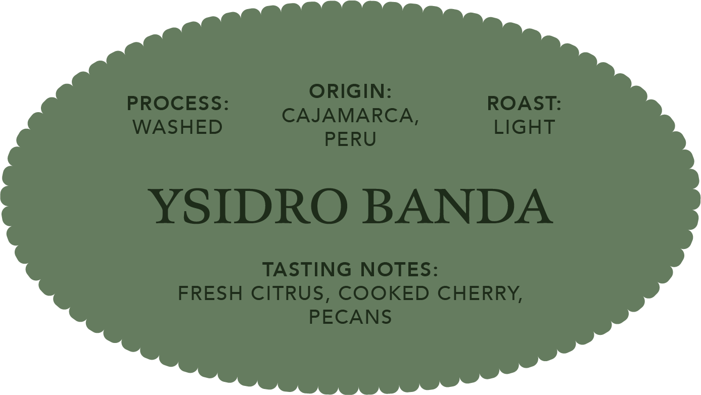 Ysidro Banda | Single Origin Coffee